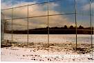 backstop-8.jpg